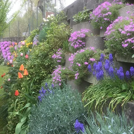 فندق مبيت وإفطار Il Colle Fiorito أوليجو كاستيلّو