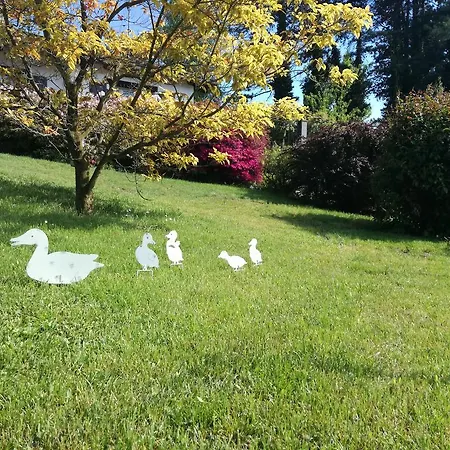 Il Colle Fiorito أوليجو كاستيلّو