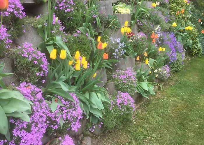 Nocleg ze śniadaniem Il Colle Fiorito