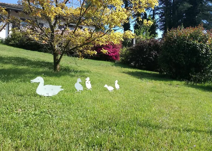 Il Colle Fiorito Oleggio Castello